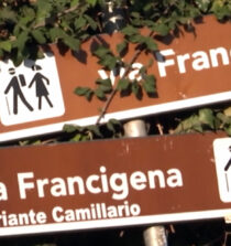 via Francigena biketv